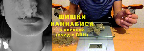 PSILOCYBIN Заводоуковск