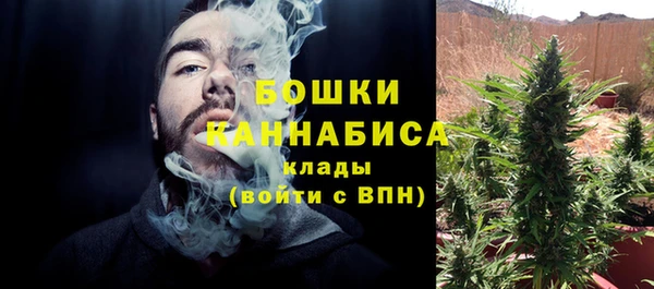 PSILOCYBIN Заводоуковск