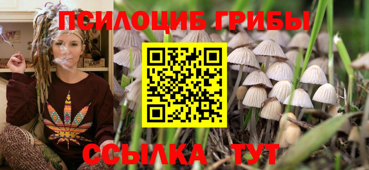 Галлюциногенные грибы GOLDEN TEACHER  где найти   Ногинск  Вход с VPN  Галлюциногенные грибы Psilocybe 