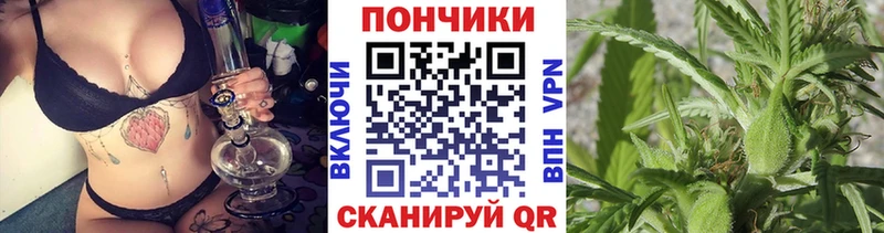 Канабис ГИДРОПОН  Ногинск 